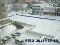 20110304.JPG